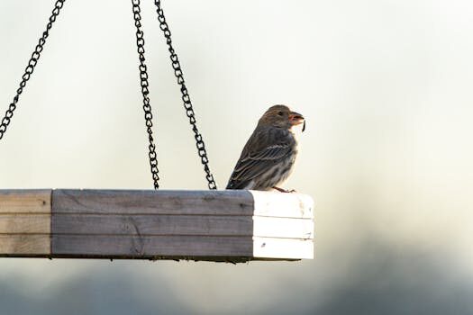Abogados en Asesor.Legal | Asesoría legal para Cadena de distribución rota en Renault: pasos para denunciar Abogados en Asesor.Legal cadena de distribucion rota en renault pasos para una denuncia 5