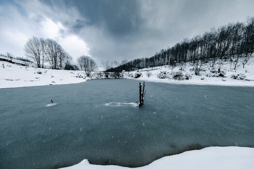Abogados en Asesor.Legal cambio de compania energetica no autorizado con avia derechos y reclamacion 2