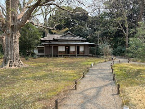 Abogados en Asesor.Legal cepsa exige pagos de luz en viviendas okupadas derechos del propietario 1