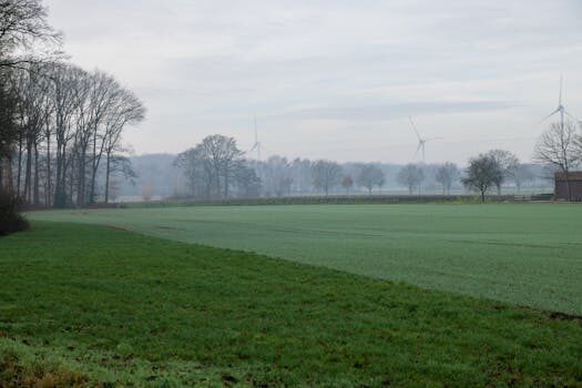 Abogados en Asesor.Legal cepsa genera microcortes que danan aparatos electricos indemnizacion posible 2