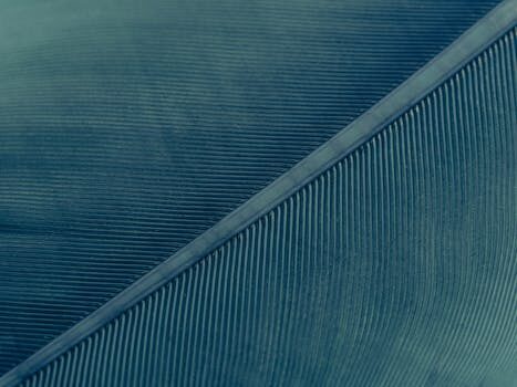 Abogados en Asesor.Legal chatgpt para preparar un recurso de multa pasos y advertencias 1