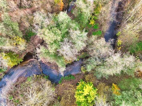 Abogados en Asesor.Legal | Asesoría legal para Cláusula suelo: plazos para reclamar y cuánto puedes recuperar Abogados en Asesor.Legal clausula suelo plazos para reclamar y cuanto puedes recuperar 3