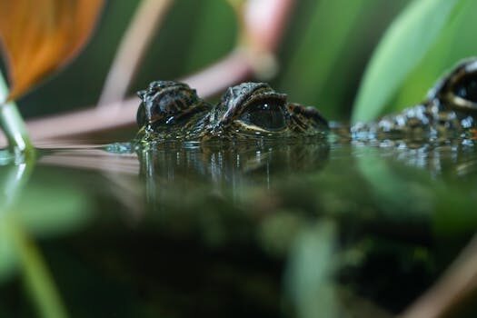 Abogados en Asesor.Legal comisiones ocultas en creditos al consumo como reclamarlas y recuperar tu dinero 1