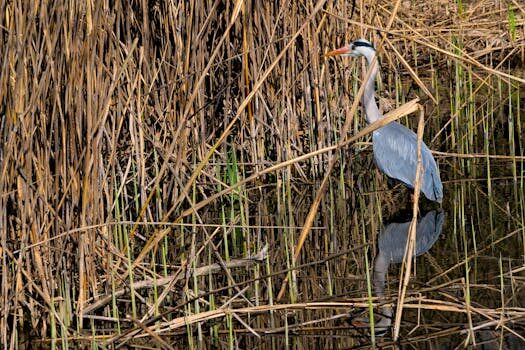 Abogados en Asesor.Legal comisiones ocultas en creditos al consumo como reclamarlas y recuperar tu dinero 3