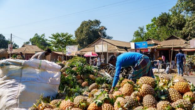 Abogados en Asesor.Legal | Asesoría legal para Cómo acreditar perjuicios económicos por un corte de suministro eléctrico de EDP Abogados en Asesor.Legal como acreditar perjuicios economicos por un corte de suministro electrico de edp 3