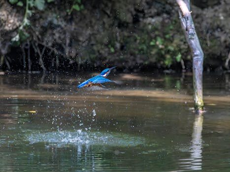 Abogados en Asesor.Legal | Asesoría legal para ¿Cómo actuar legalmente si la autonomía real de mi BYD es muy inferior a la anunciada en publicidad? Abogados en Asesor.Legal como actuar legalmente si la autonomia real de mi byd es muy inferior a la anunciada en publicidad 3