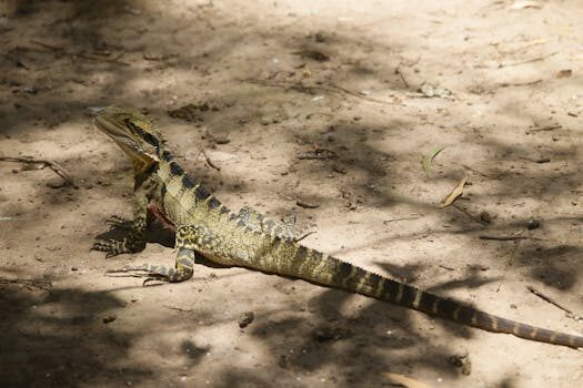 Abogados en Asesor.Legal como defenderse de una reclamacion de deuda fuera de plazo de hatta energy 1
