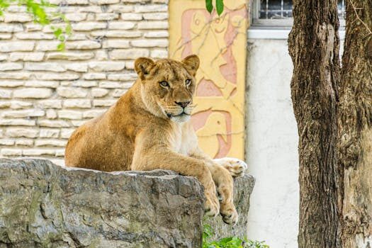 Abogados en Asesor.Legal | Asesoría legal para Cómo demostrar daños por un corte energético irregular de Syder Comercializadora Verde Abogados en Asesor.Legal como demostrar danos por un corte energetico irregular de syder comercializadora verde 3
