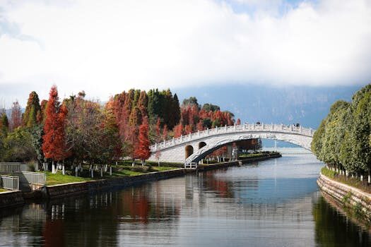 Abogados en Asesor.Legal como demostrar que contigo energia realizo un cambio de titular sin autorizacion 4