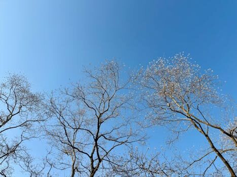 Abogados en Asesor.Legal | Asesoría legal para Cómo demostrar un cambio de suministro irregular gestionado por Régsiti Abogados en Asesor.Legal como demostrar un cambio de suministro irregular gestionado por regsiti 2