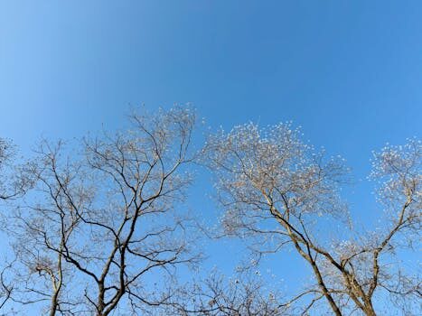 Abogados en Asesor.Legal | Asesoría legal para Cómo demostrar un cambio de suministro irregular gestionado por Régsiti Abogados en Asesor.Legal como demostrar un cambio de suministro irregular gestionado por regsiti 3