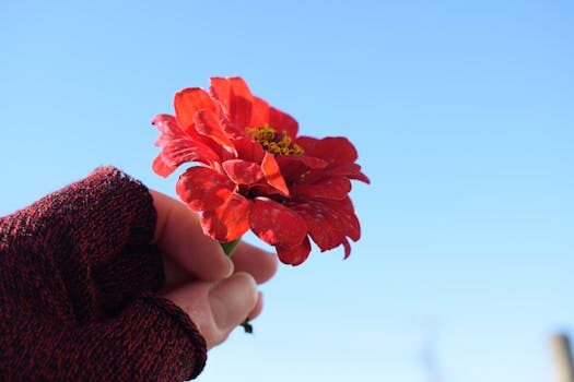 Abogados en Asesor.Legal | Asesoría legal para Cómo denunciar intereses abusivos aplicados por Kutxa Abogados en Asesor.Legal como denunciar intereses abusivos aplicados por kutxa 1