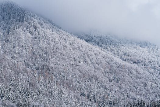 Abogados en Asesor.Legal como frenar el acoso telefonico de evo 4