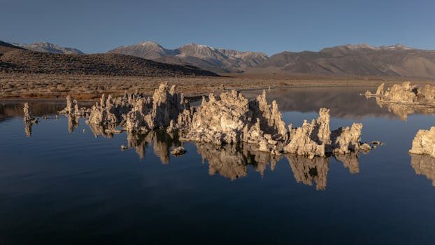 Abogados en Asesor.Legal como presentar una reclamacion al fondo de garantia de depositos 1