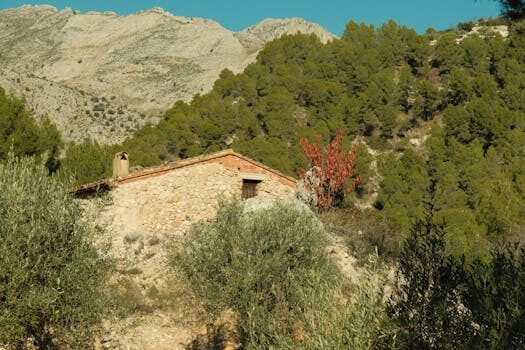 Abogados en Asesor.Legal | Asesoría legal para Cómo reclamar a Solvia por desperfectos y defectos de entrega en la vivienda Abogados en Asesor.Legal como reclamar a solvia por desperfectos y defectos de entrega en la vivienda 4