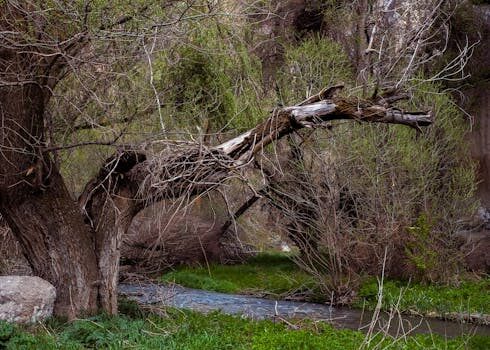 Abogados en Asesor.Legal como reclamar comisiones mal aplicadas por targobank 1