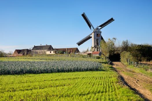 Abogados en Asesor.Legal como reclamar errores en la potencia contratada con vilma oil 4