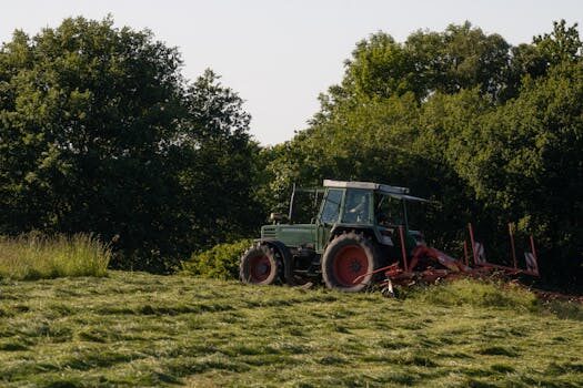 Abogados en Asesor.Legal como reclamar gastos de grua taxis y alquiler de coche por culpa de un taller 3