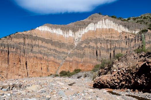 Abogados en Asesor.Legal como reclamar la devolucion de la fianza de alquiler 2