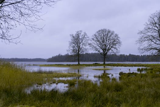 Abogados en Asesor.Legal como reclamar un cambio de titular no autorizado con enilive 5