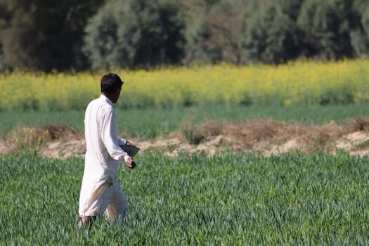 Abogados en Asesor.Legal como reclamar un cambio de titular no autorizado con hatta energy 4
