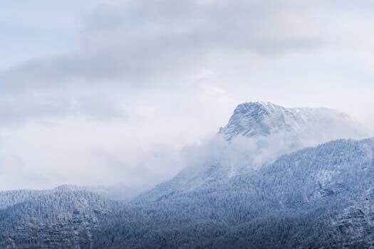 Abogados en Asesor.Legal como responder si osmar capital insiste telefonicamente 1