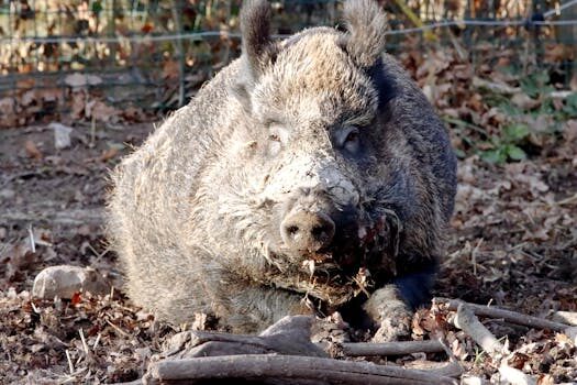 Abogados en Asesor.Legal | Asesoría legal para Cómo solicitar a Colonya Caixa Pollença la documentación de amortización de tu préstamo Abogados en Asesor.Legal como solicitar a colonya caixa pollenca la documentacion de amortizacion de tu prestamo 2