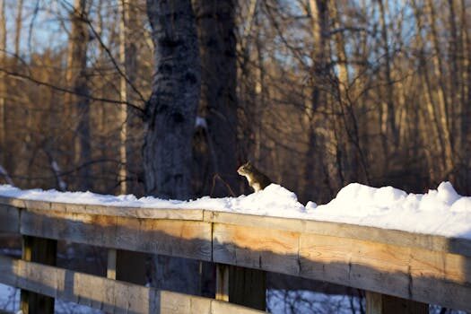 Abogados en Asesor.Legal | Asesoría legal para Cómo solicitar el certificado de delitos sexuales: guía práctica para trabajadores y empresas Abogados en Asesor.Legal como solicitar el certificado de delitos sexuales guia practica para trabajadores y empresas 4