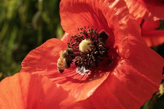 Abogados en Asesor.Legal como usar chatgpt para saber si puedes devolver un producto 1