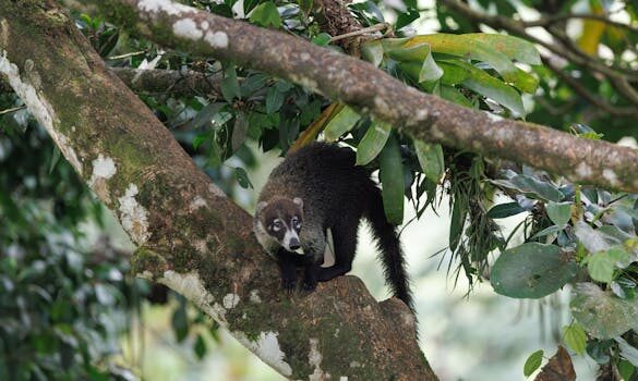 Abogados en Asesor.Legal | Asesoría legal para Cómo usar IA si has tenido un conflicto en una reserva hotelera Abogados en Asesor.Legal como usar ia si has tenido un conflicto en una reserva hotelera 3