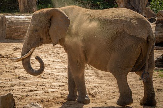 Abogados en Asesor.Legal | Asesoría legal para Cómo usar IA si necesitas cancelar una compra grande Abogados en Asesor.Legal como usar ia si necesitas cancelar una compra grande 2