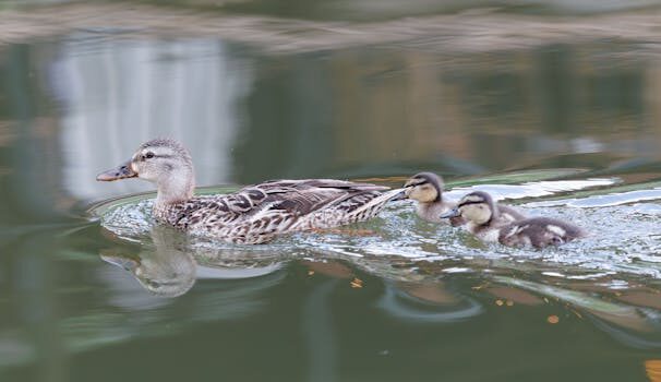 Abogados en Asesor.Legal como utilizan los jovenes la ia para entender sus derechos sin acudir a un abogado 1