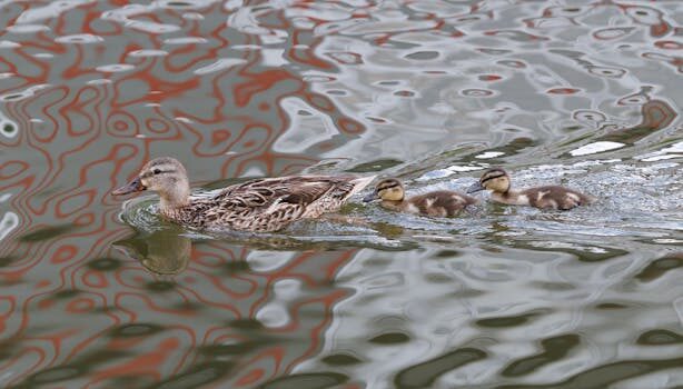 Abogados en Asesor.Legal como utilizan los jovenes la ia para entender sus derechos sin acudir a un abogado 2