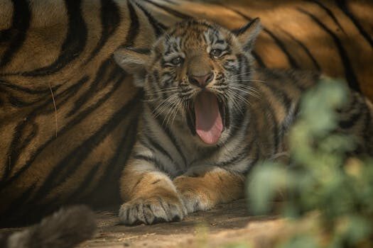 Abogados en Asesor.Legal como utilizan los jovenes la ia para entender sus derechos sin acudir a un abogado 4