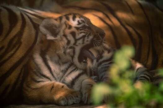 Abogados en Asesor.Legal como utilizan los jovenes la ia para entender sus derechos sin acudir a un abogado 5