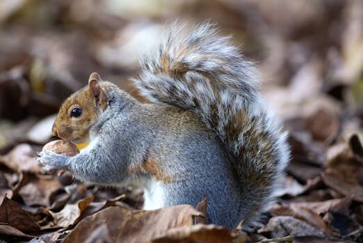 Abogados en Asesor.Legal | Asesoría legal para Compensar piso con problemas causado por Domo Abogados en Asesor.Legal compensar piso con problemas causado por domo 5