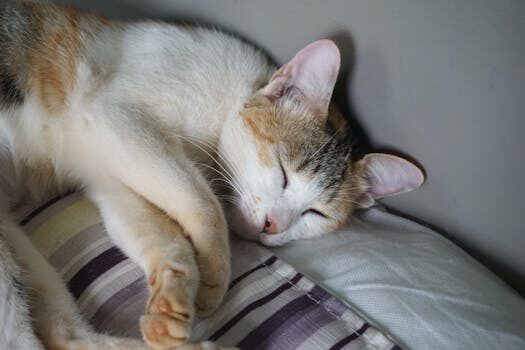 Abogados en Asesor.Legal compra de vivienda en subasta procesos y precauciones 1