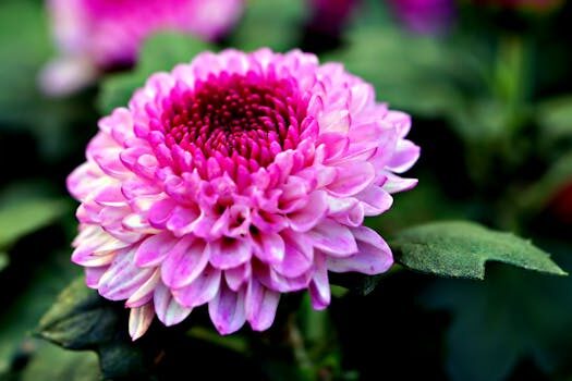 Abogados en Asesor.Legal | Asesoría legal para Corte de suministro con Naturgy a pesar de estar al corriente de pago: cómo actuar Abogados en Asesor.Legal corte de suministro con naturgy a pesar de estar al corriente de pago como actuar 3