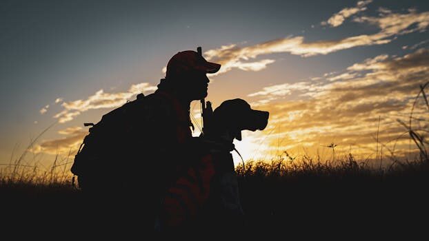 Abogados en Asesor.Legal custodia de mascotas tras el divorcio guia legal actualizada 4