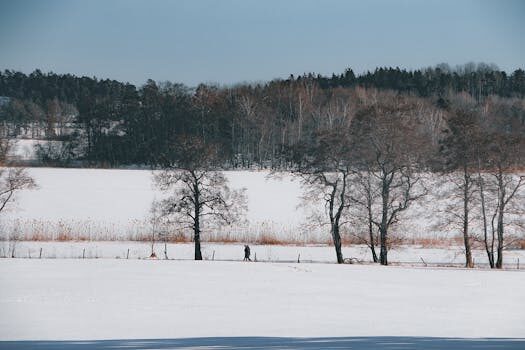 Abogados en Asesor.Legal | Asesoría legal para Decora inmobiliaria: demanda por fallos en la instalación del sistema de climatización Abogados en Asesor.Legal decora inmobiliaria demanda por fallos en la instalacion del sistema de climatizacion 1