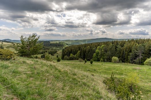 Abogados en Asesor.Legal | Asesoría legal para Defectos de habitabilidad: expertos legales para exigir la máxima compensación a AQ Acentor por mal aislamiento Abogados en Asesor.Legal defectos de habitabilidad expertos legales para exigir la maxima compensacion a aq acentor por mal aislamiento 3