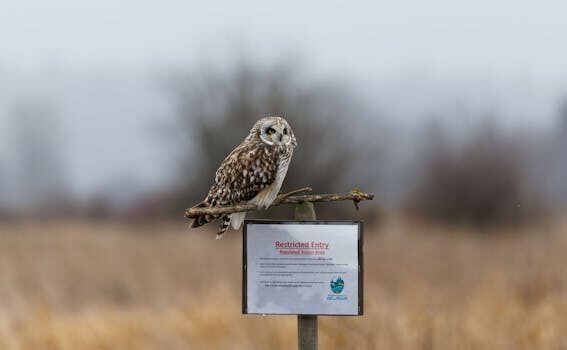 Abogados en Asesor.Legal | Asesoría legal para Defensa legal frente a cortes de suministro a personas vulnerables realizados por Som Energia Abogados en Asesor.Legal defensa legal frente a cortes de suministro a personas vulnerables realizados por som energia 3
