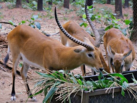 Abogados en Asesor.Legal derecho del consumidor proteccion frente a abusos comerciales 2