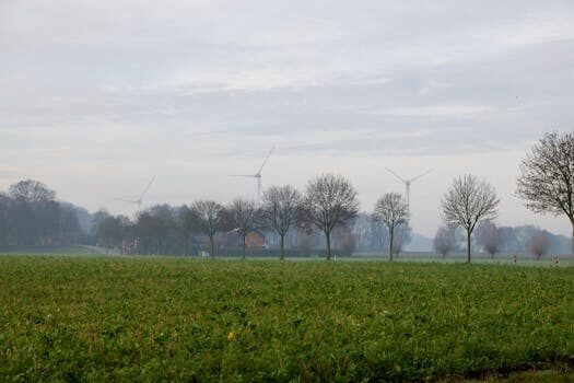 Abogados en Asesor.Legal enel green power provoca microcortes que danan equipos electricos 3