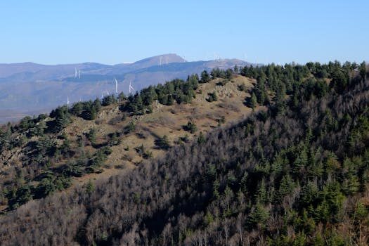 Abogados en Asesor.Legal energy go causa subidas de tension que danan electrodomesticos 4