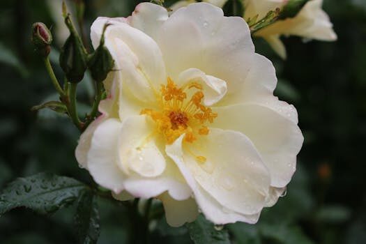 Abogados en Asesor.Legal | Asesoría legal para Exigir reparación a Solvia por humedades en tu vivienda Abogados en Asesor.Legal exigir reparacion a solvia por humedades 3