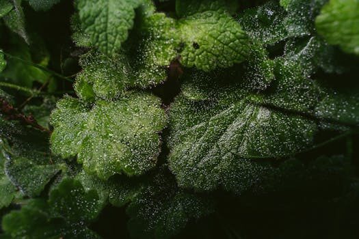 Abogados en Asesor.Legal | Asesoría legal para Exigir reparación a Solvia por humedades en tu vivienda Abogados en Asesor.Legal exigir reparacion a solvia por humedades 4