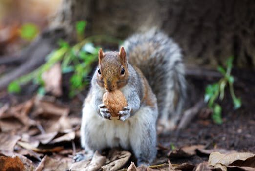 Abogados en Asesor.Legal | Asesoría legal para Fallo grave del sistema híbrido en Lynk & Co: guía legal Abogados en Asesor.Legal fallo grave del sistema hibrido en lynk co guia legal 4