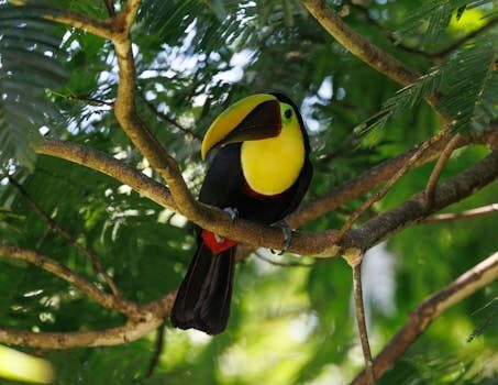 Abogados en Asesor.Legal | Asesoría legal para Filtro FAP Nissan: cómo reclamar Abogados en Asesor.Legal filtro fap nissan como reclamar 2