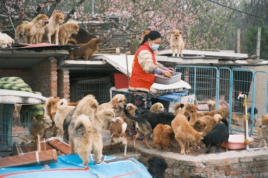 Abogados en Asesor.Legal fortia energia y errores en la tramitacion del bono social que hacer 1